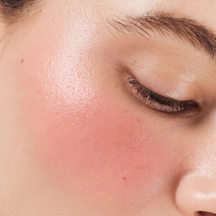 Rhode Pocket Blush - The Natural Flush